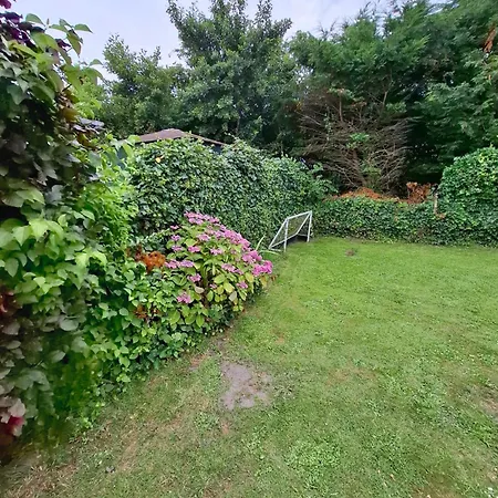 Κάμπινγκ Cosy Petten, Family Only