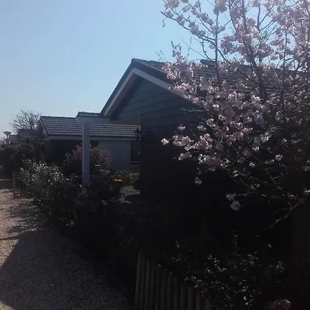 Campsite Cosy Petten, Family Only Petten